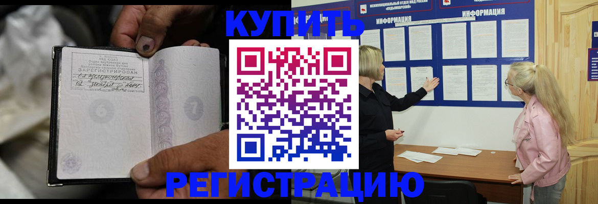 прописка поиск в Королёве